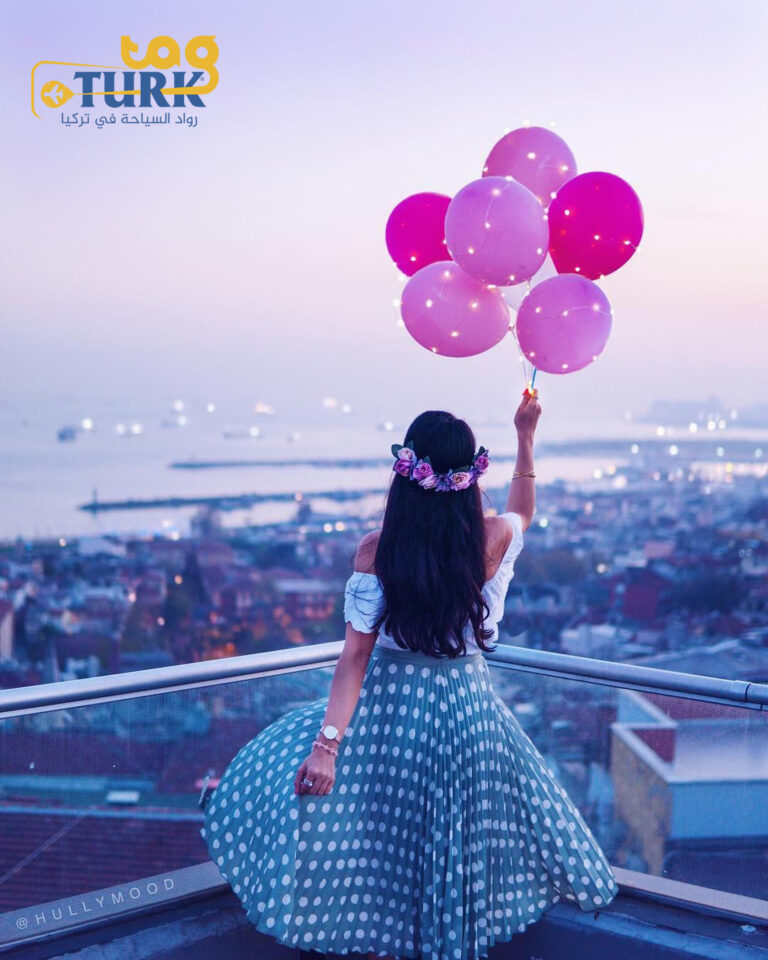 سيارة مع سائق في اسطنبول / جولات سياحية في اسطنبول 85 $