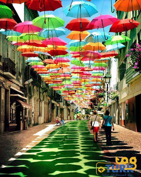 سيارة مع سائق في اسطنبول / جولات سياحية في اسطنبول 85 $