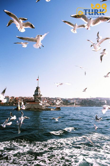 جولات اسطنبول السياحية