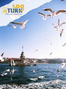 جولات اسطنبول السياحية / جولات سياحية في اسطنبول